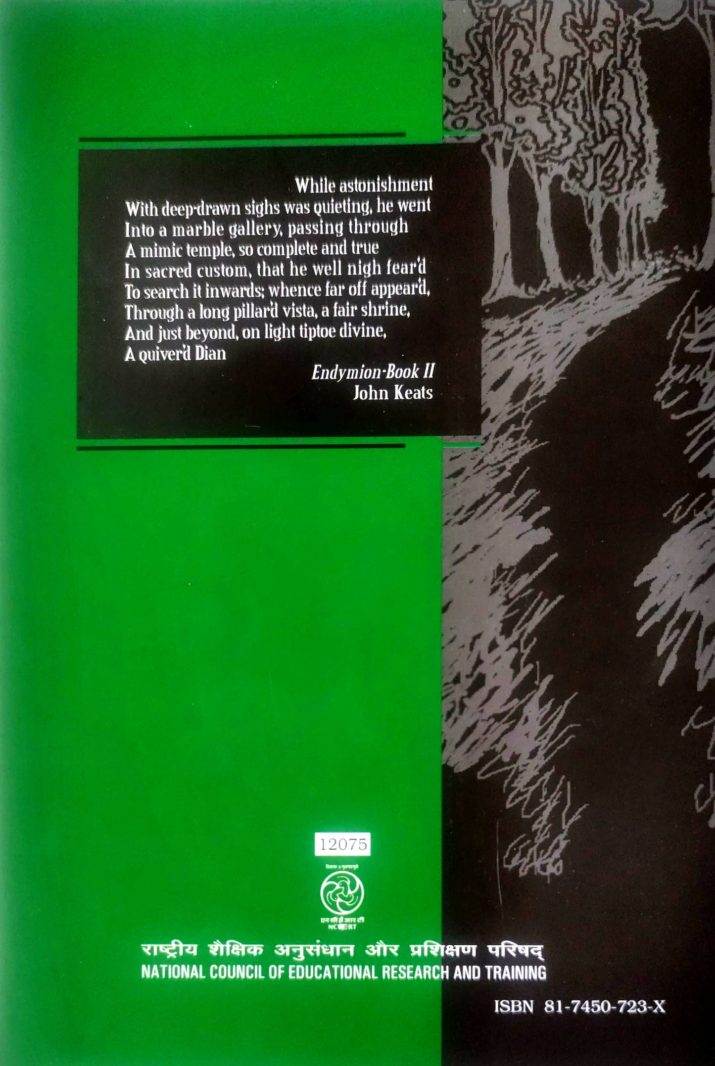 12075 - Vistas - Suppl. Eng Core - XII